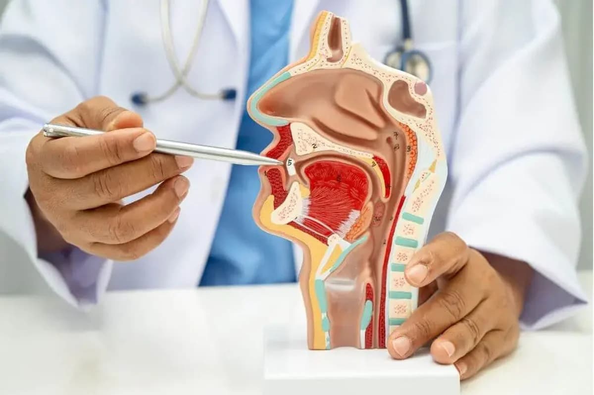 Otolaryngology Medical Billing Services